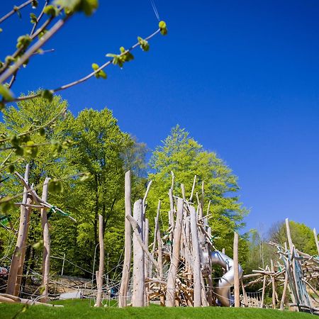 Ferienpark Geyersberg Inklusive Aktivcard Bayerischer Wald Freyung Ngoại thất bức ảnh